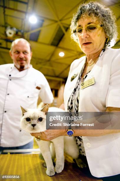 Cats are judged at Merseyside Cat Club Championship show at Sutton Leisure Centre on June 3, 2017 in St Helens, England.