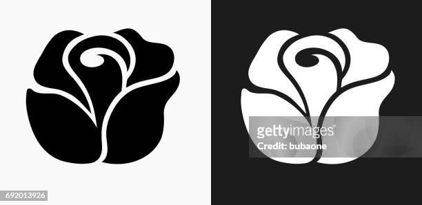 ilustraciones, imágenes clip art, dibujos animados e iconos de stock de icono de color de rosa en blanco y negro vector fondos - black rose