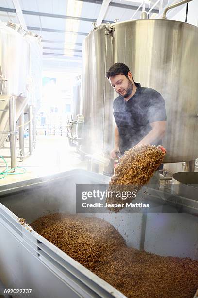 worker in brewery, emptying grains from mash tun - cereal plant fotografías e imágenes de stock