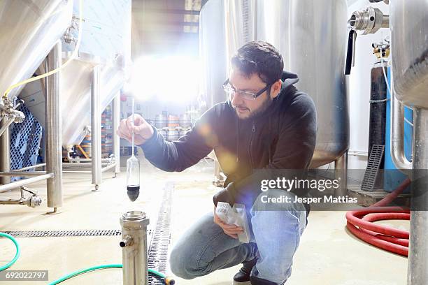 worker in brewery, checking alcohol and sugar content of product - hydrometer bildbanksfoton och bilder