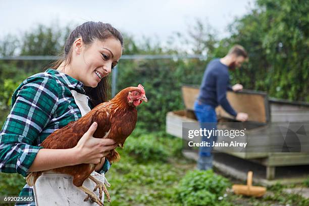 young couple in chicken coop holding chicken - the coop stock pictures, royalty-free photos & images