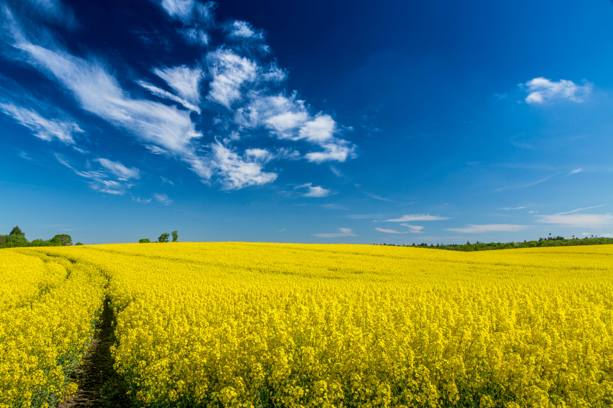 danish farm