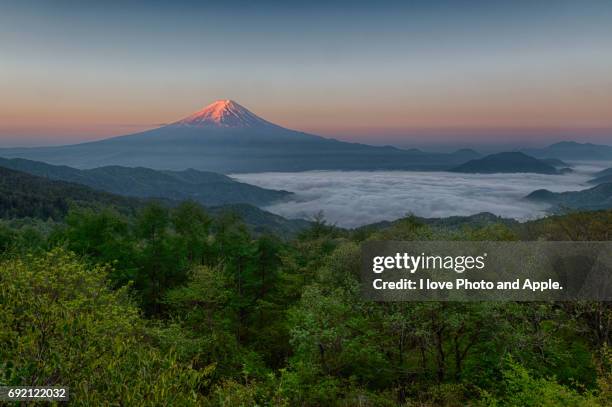 fuji on the sea of clouds - 新鮮 stock pictures, royalty-free photos & images