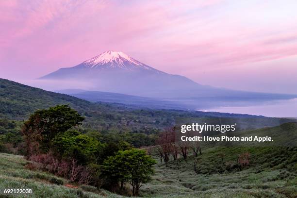 fuji in the pink sky - 深い雪 stock pictures, royalty-free photos & images