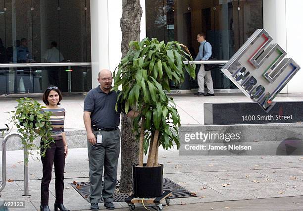 Enron Rasmlari 232 Us Enron Employee Stock Photos, High-Res Pictures, and Images ...