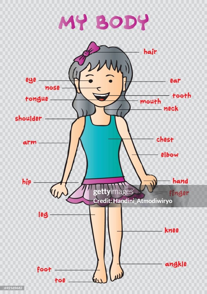 Mi Cuerpo Carta Gráfica De Información Educativa Para Los Niños Que Muestran Partes Del Cuerpo Humano De Una Niña Linda De La Historieta Ilustración de stock - Getty Images Mi Cuerpo Carta Gráfica De Información Educativa Para Los Niños Que Muestran Partes Del Cuerpo Humano De Una Niña Linda De La Historieta Ilustración de stock - Getty Images