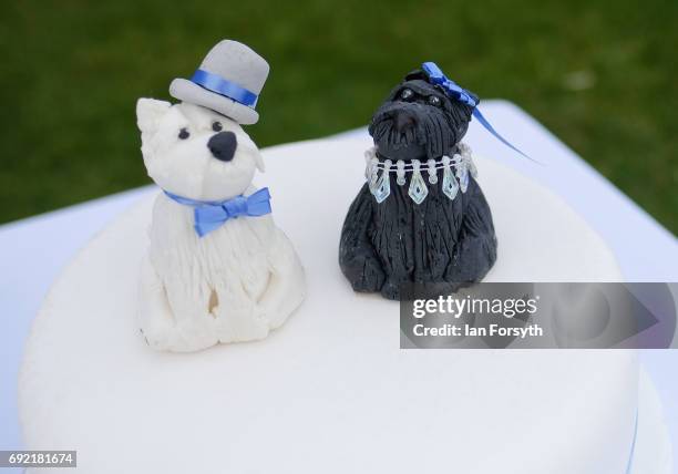 Wedding cake is decorated with dog figures ahead of a dog wedding during events at the Great North Dog Walk on June 4, 2017 in South Shields,...