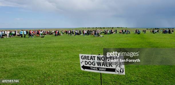 Thousands of excited participants and their owners take part in the Great North Dog Walk on June 4, 2017 in South Shields, England. Founded in 1990...