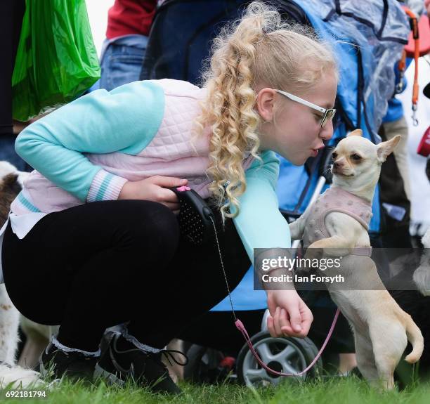 Girl gives her dog a kiss as they take part in the Great North Dog Walk on June 4, 2017 in South Shields, England. Founded in 1990 by former teacher...