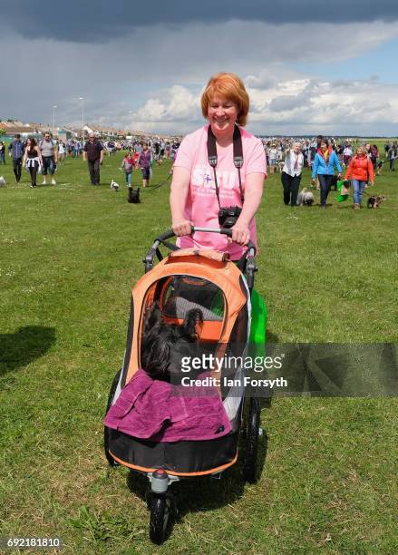 Woman pushed her dog in a buggy as she joins thousands of excited participants and their owners to take part in the Great North Dog Walk on June 4,...