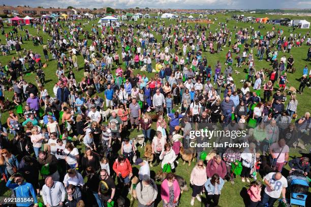 Thousands of excited participants and their owners take part in the Great North Dog Walk on June 4, 2017 in South Shields, England. Founded in 1990...