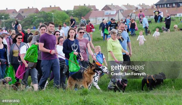 Thousands of excited participants and their owners take part in the Great North Dog Walk on June 4, 2017 in South Shields, England. Founded in 1990...