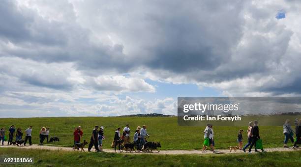 Thousands of excited participants and their owners take part in the Great North Dog Walk on June 4, 2017 in South Shields, England. Founded in 1990...