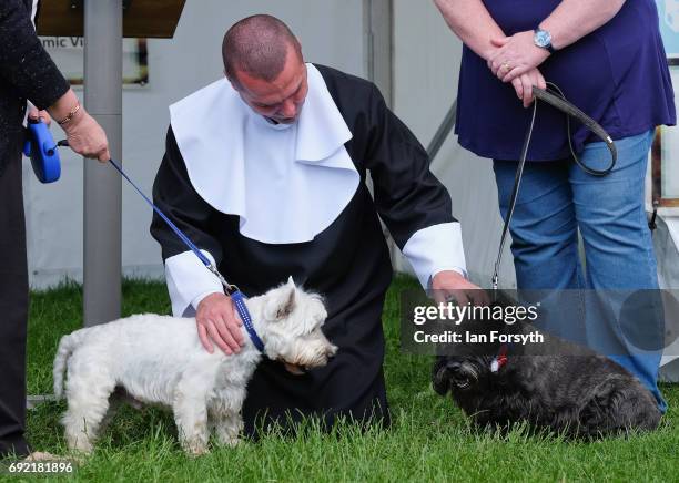 Dog wedding takes places during events at the Great North Dog Walk on June 4, 2017 in South Shields, England. Founded in 1990 by former teacher and...