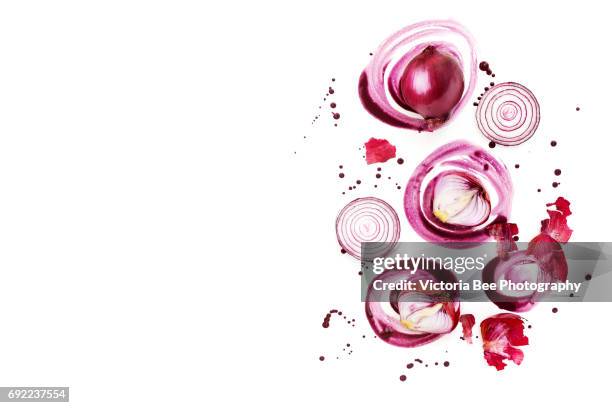 red onion. top view. creative food shot with watercolor. - spanish onion 個照片及圖片檔