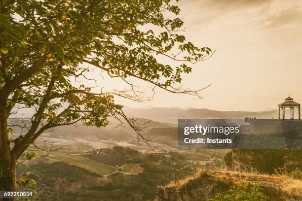 landschaft von la ronda, in der schönen spanischen provinz málaga in andalusien. - málaga province stock-fotos und bilder