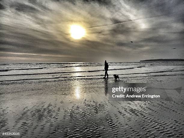 best of year  - camber sands stockfoto's en -beelden