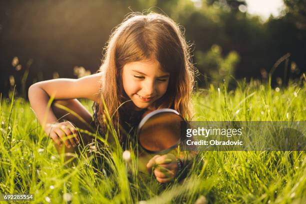 little explorer - child magnifying glass imagens e fotografias de stock