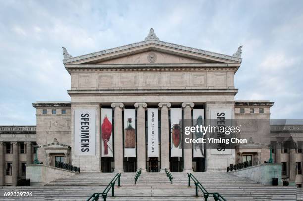 field museum of natural history - field museum stockfoto's en -beelden