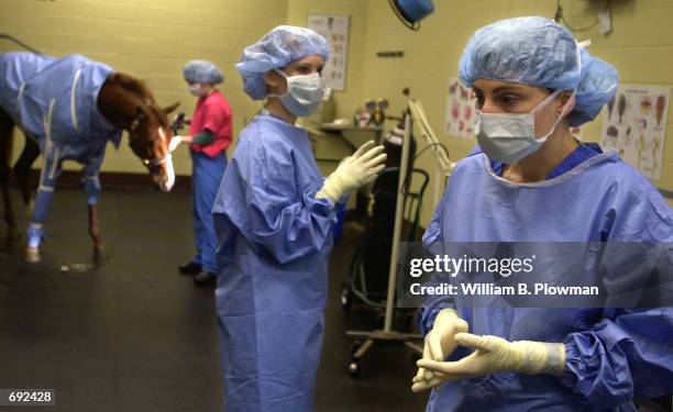 Veterinarian Christine Adreani and fourth year veterinary student Holly Hughes prep for surgery at the Tufts University School of Veterinary Medicine...