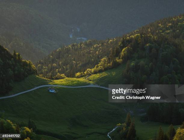bavaria alps - herzogstand - sorglos imagens e fotografias de stock