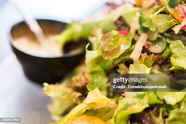 salad - soße stockfoto's en -beelden