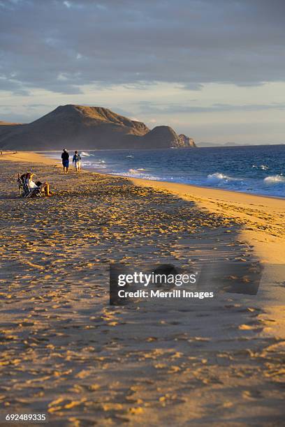 mexico, todos santos, cerritos beach. - todos santos bildbanksfoton och bilder