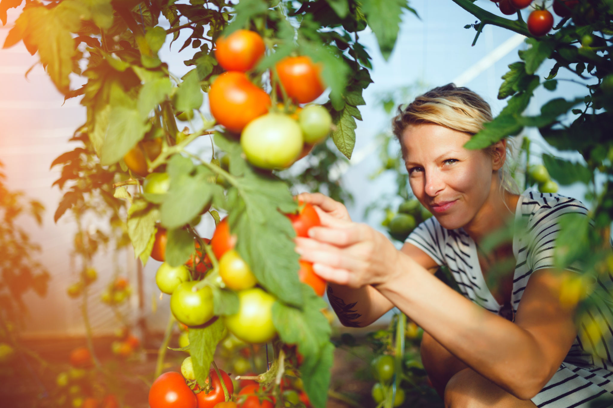 economic growth women
