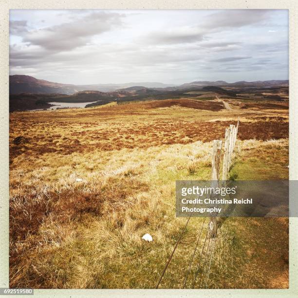 fence in landscape, scotland, highlands, uk - anhöhe stockfoto's en -beelden