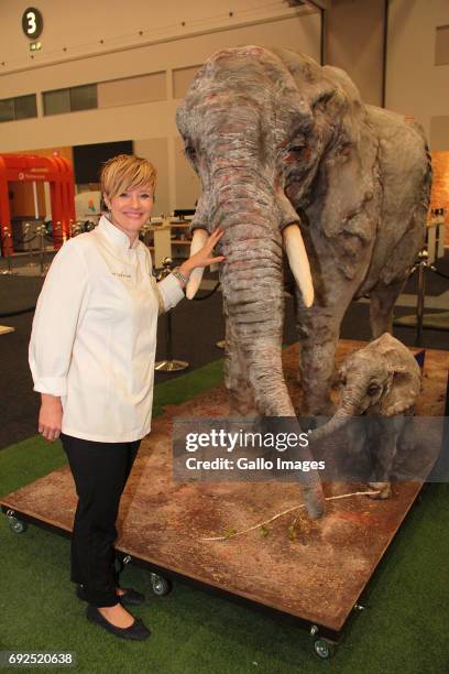 Master cake maker Dot Klerck created the worlds biggest elephant cake in aid of the International Fund for Animal Welfare on June 01, 2017 in Cape...