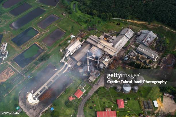 aerial view of palm oil mill in pahang, malaysia. - oil palm stock-fotos und bilder