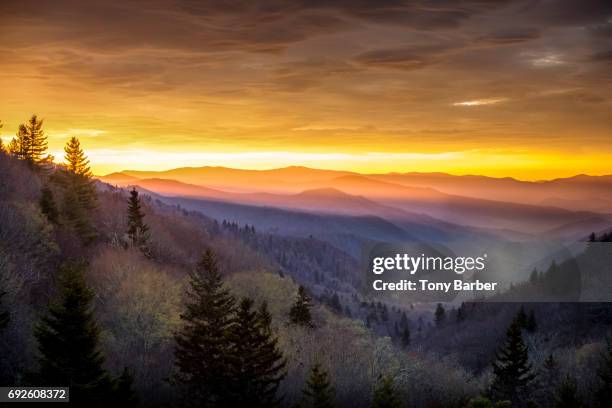 testament - nationalpark great smoky mountains stock-fotos und bilder