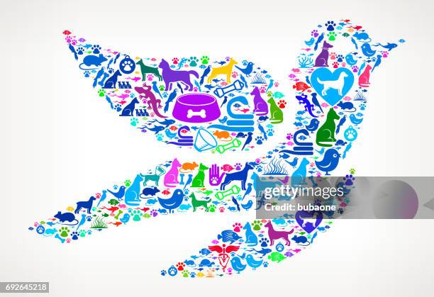 bird pets and animals vector icon background - multiple pets stock illustrations