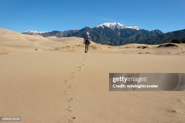 woman hikes great sand dunes national park sangre de cristo mountains colorado - great sand dunes national park stock pictures, royalty-free photos & images