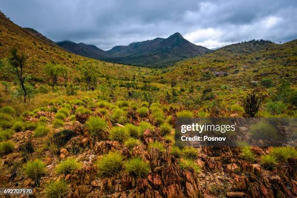 west macdonnell ranges - alice springs stock pictures, royalty-free photos & images