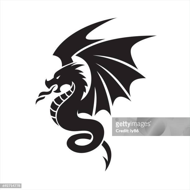 illustrazioni stock, clip art, cartoni animati e icone di tendenza di drago - dragon
