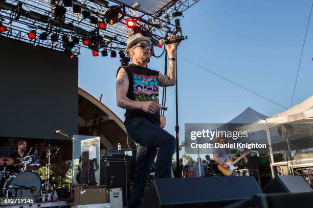 Robin File Musician Robin Wilson (Musician) Photos and Premium High Res Pictures - Getty Images