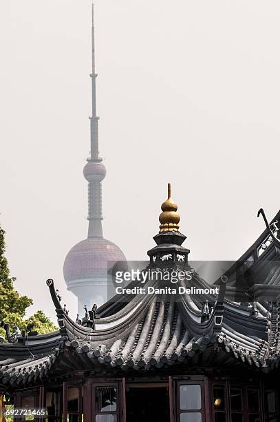 oriental pearl tower looming over chenghuang miao, shanghai, china - china oriental stock pictures, royalty-free photos & images