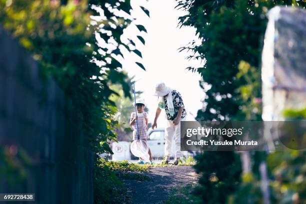 granddaughter holding butterfly net and grandmother reaching out on the road - doing a favor - fotografias e filmes do acervo