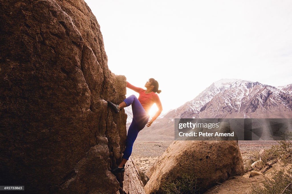 Woman rock climbing, Buttermilk Boulders, Bishop, California, USA