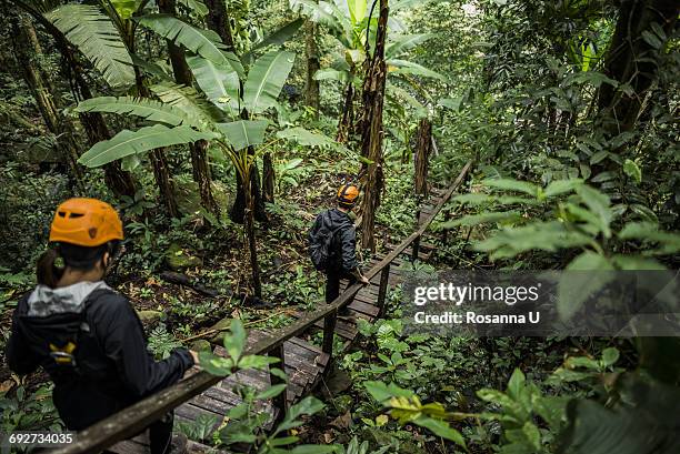 hikers crossing wooden bridge in forest, ban nongluang, champassak province, paksong, laos - paksong stock pictures, royalty-free photos & images