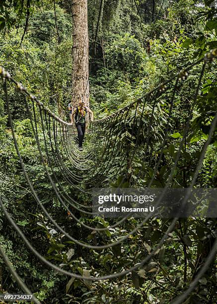 man crossing rope bridge in forest, ban nongluang, champassak province, paksong, laos - paksong stock pictures, royalty-free photos & images