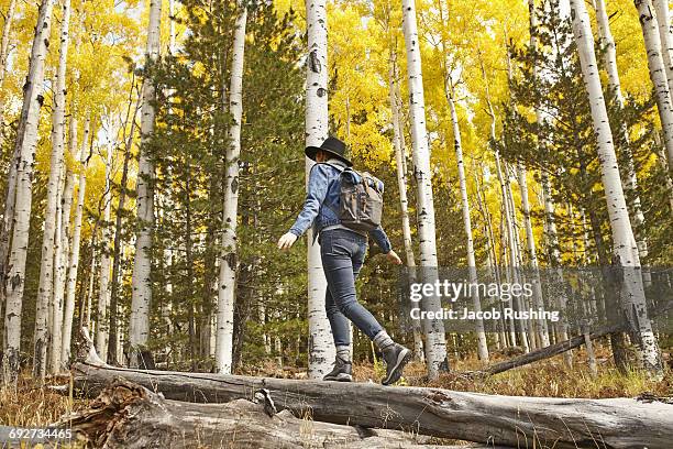 woman hiking through rural setting, rear view, flagstaff, arizona, usa - flagstaff fotografías e imágenes de stock