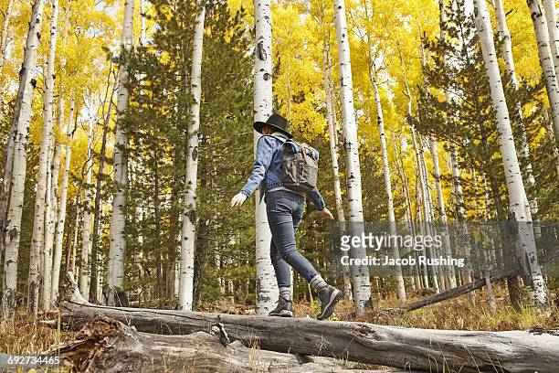 woman hiking through rural setting, rear view, flagstaff, arizona, usa - flagstaff arizona stock pictures, royalty-free photos & images