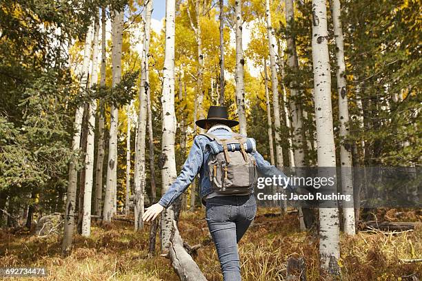 woman hiking through rural setting, rear view, flagstaff, arizona, usa - flagstaff arizona 個照片及圖片檔