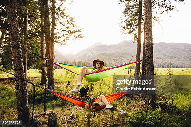 rocky mountain national park, colorado, usa - peter parks stock pictures, royalty-free photos & images