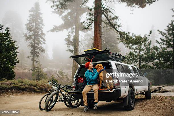 man and dog sitting on tailgate of off road vehicle, sequoia national park, california, usa - adventure man stock pictures, royalty-free photos & images