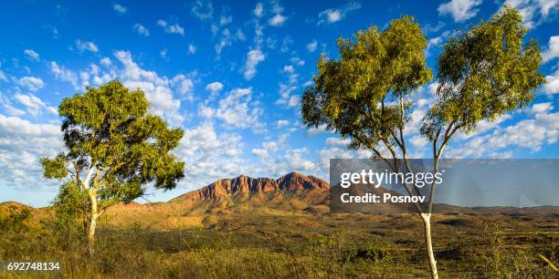 mount sonder - northern territory stock pictures, royalty-free photos & images
