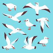 Cartoon atlantic seabird, seagulls flying in blue sky vector set