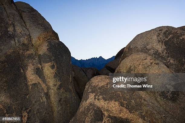 4,380 A Whitney Brown Stock Photos, High-Res Pictures, and Images